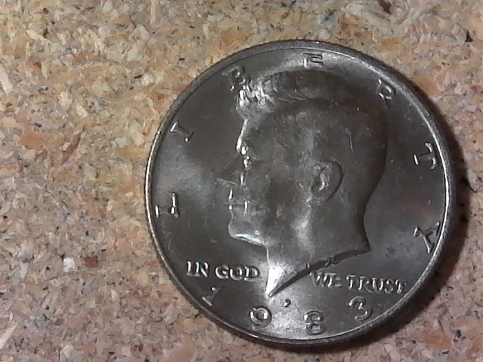 1983-Kennedy-Half---No-Hair---What-Do-You-Think?